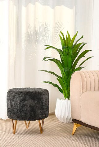 black pouf with planter and sofa at the side