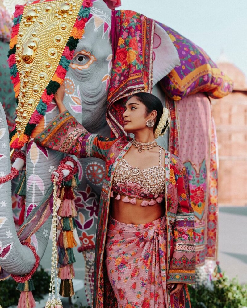 Torani 𝐉𝐮𝐥𝐨𝐨𝐬 coll