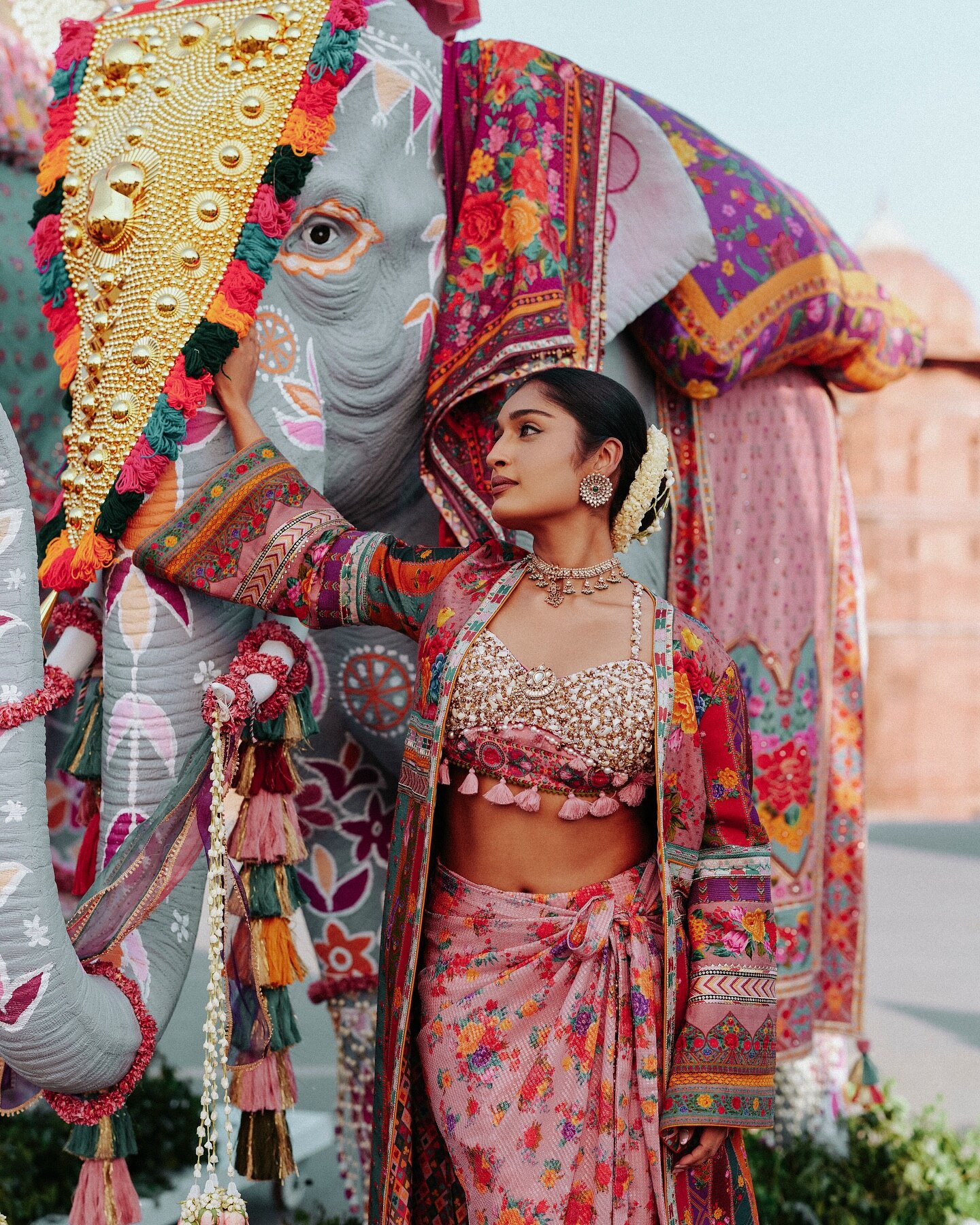 Torani 𝐉𝐮𝐥𝐨𝐨𝐬 coll