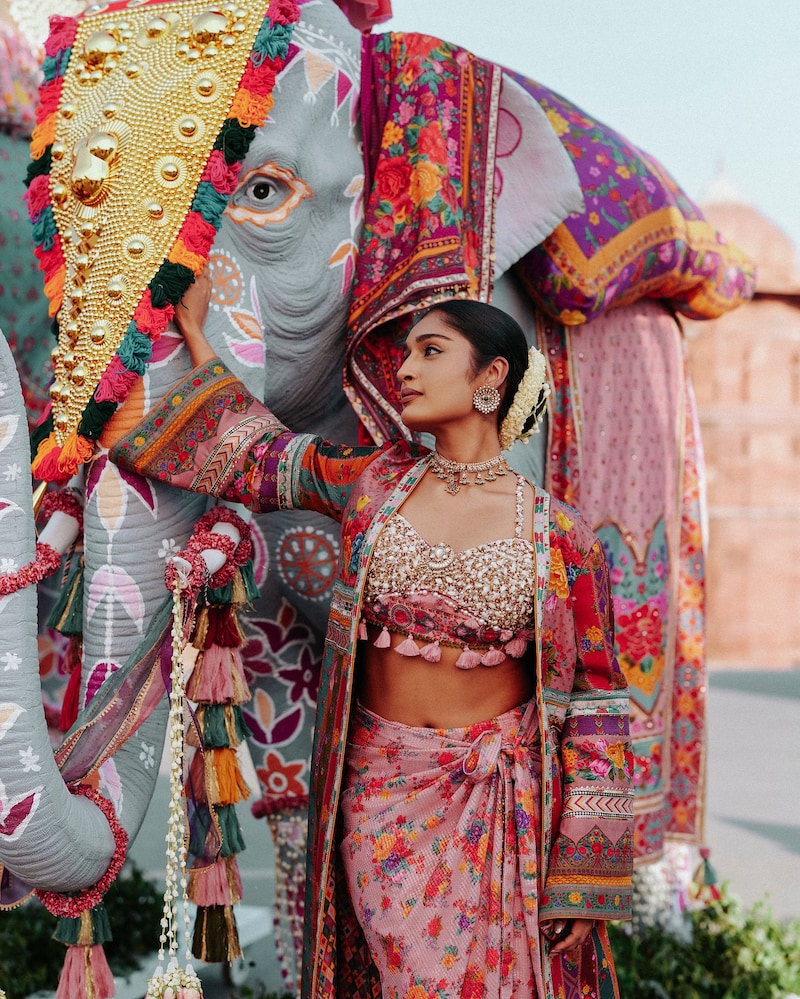 Torani 𝐉𝐮𝐥𝐨𝐨𝐬 coll