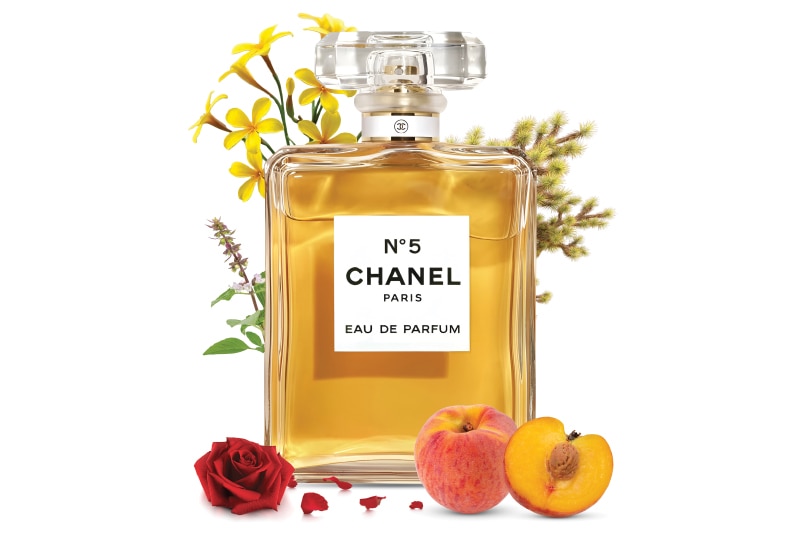 In Every Quiet Note feature